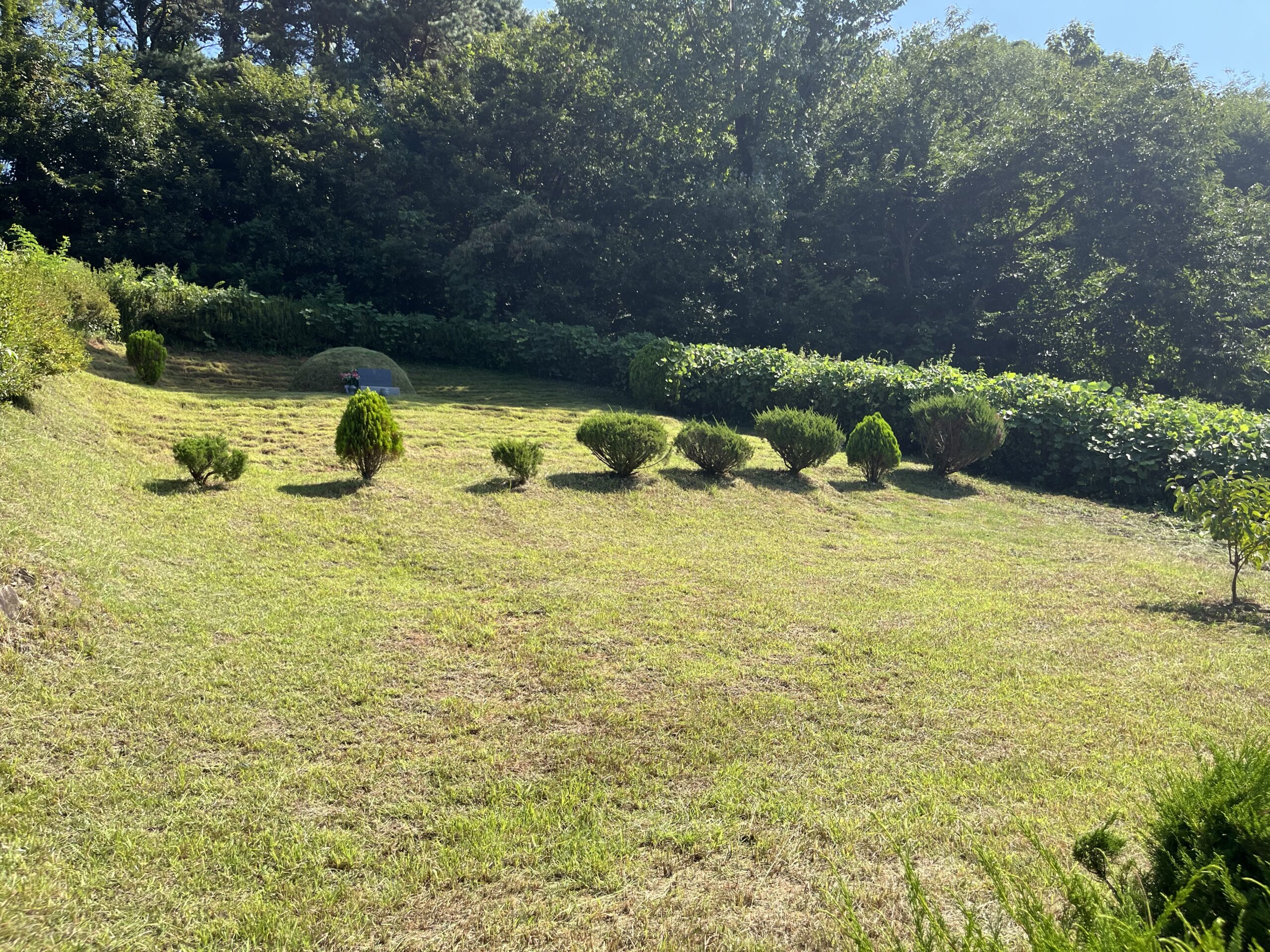 묘지 제초 및 정리 작업